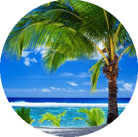 Paradies